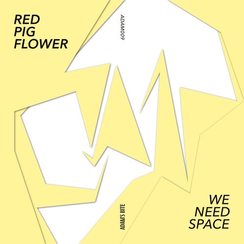 Red Pig Flower - We Need Space [ADAM009]